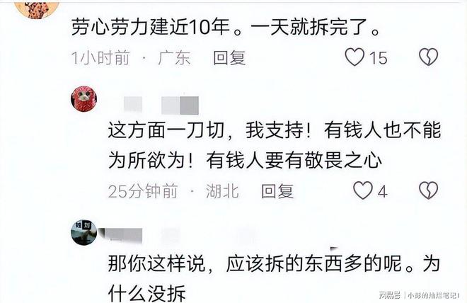 身份曝光官媒称完全合理！10亿违建豪宅被推平屋主(图10)